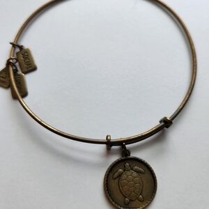 Bronze Turtle Charm Bracelet
